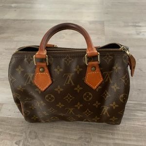 Louis Vuitton speedy 25 handbag